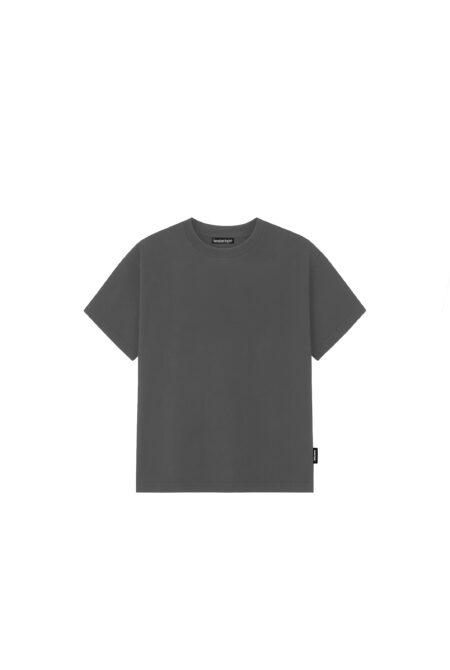 Remera Regular Fit Croped Acero Liso